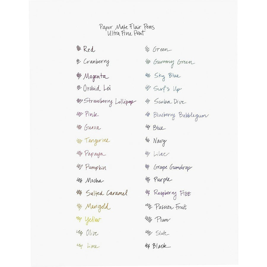 Newell Paper Mate Flair Point Guard Felt Tip Marker Pens