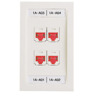 Panduit Network Faceplate White
