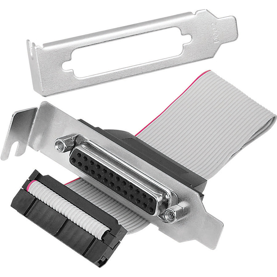 SIIG DP CyberParallel Dual PCIe