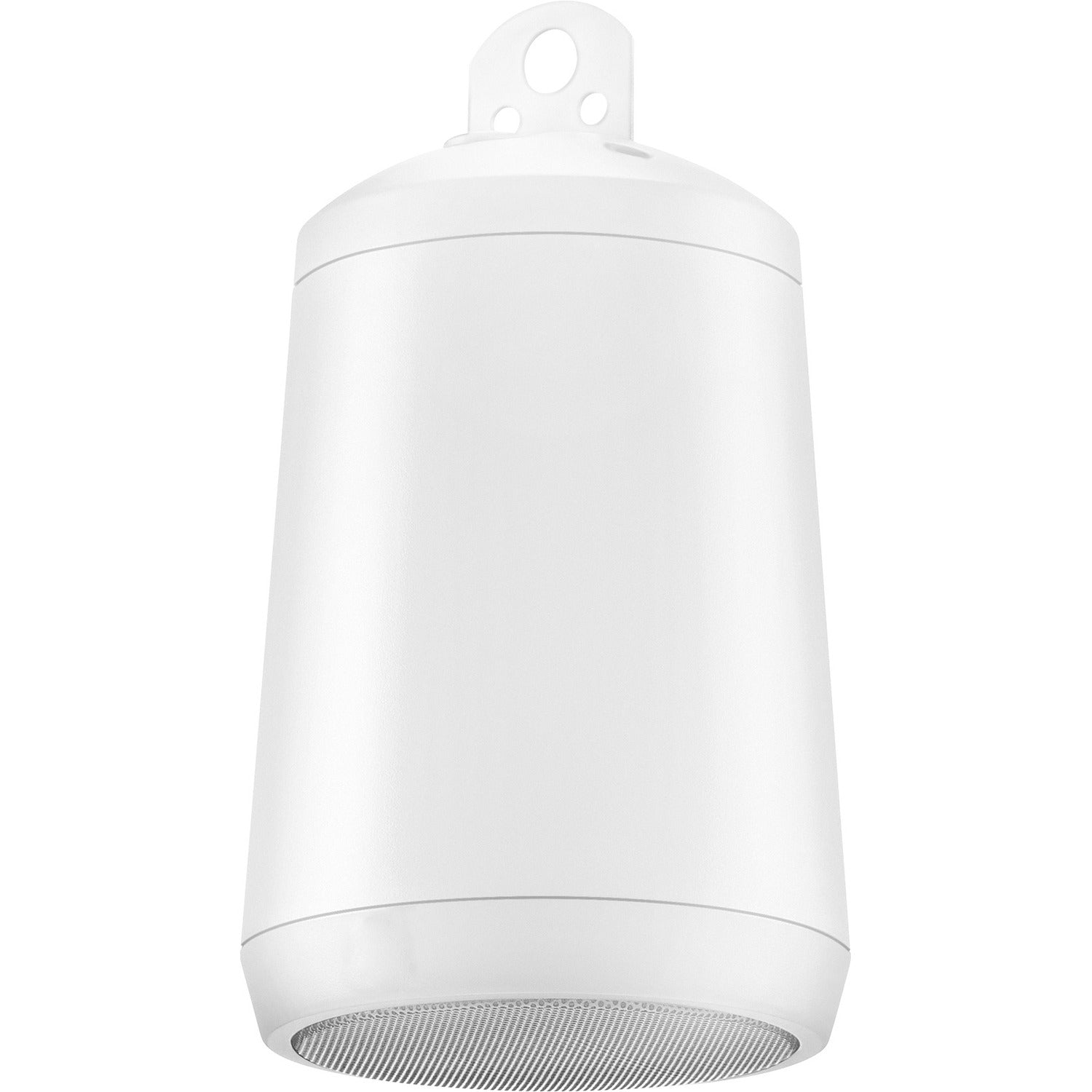 The Electro-Voice EVID P2.1 Pendant Mount Speaker - White