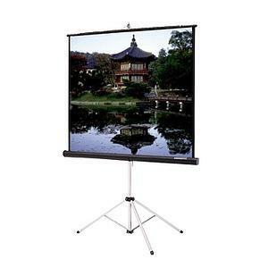 Legrand Da-Lite Picture King Portable and Tripod Projection Screen (Gray Carpeted)