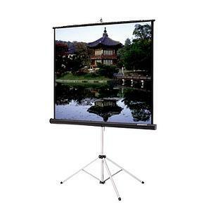 Legrand Da-Lite Picture King Portable and Tripod Projection Screen (Black carpeted)