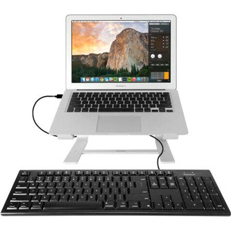 Mace Macally Black 104 Key Full Size USB Keyboard for Mac