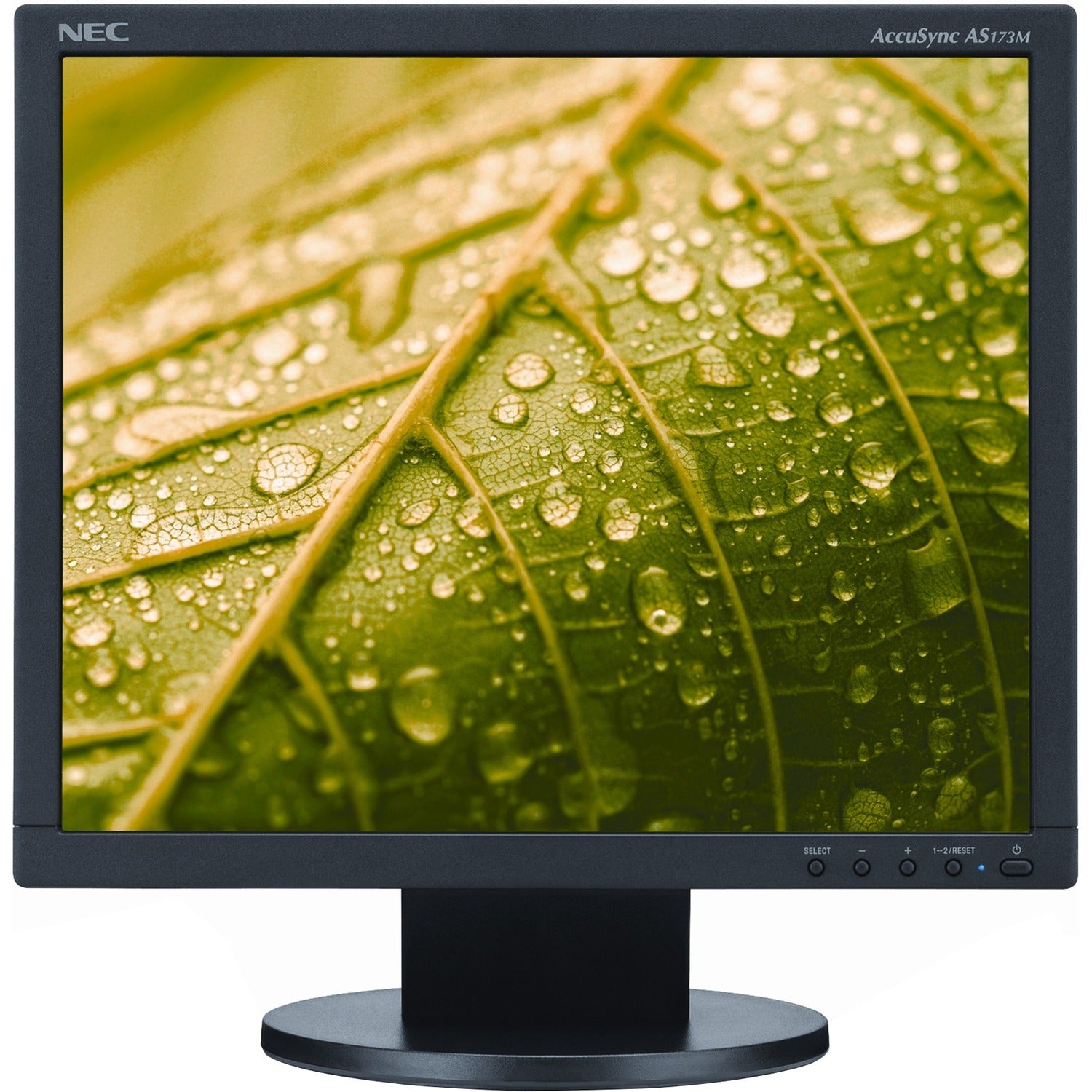 Sharp NEC Display AccuSync AS173M-BK 17" Class SXGA LCD Monitor - 5:4