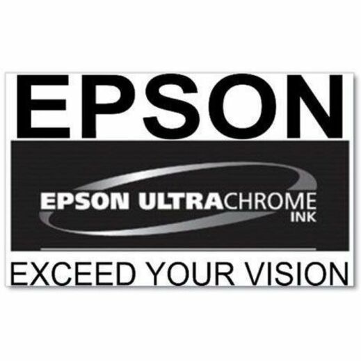 Epson UltraChrome PRO 770 Original Inkjet Ink Cartridge - Vivid Magenta Pack