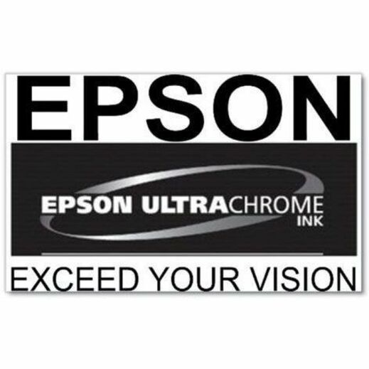 Epson UltraChrome PRO 770 Original Inkjet Ink Cartridge - Vivid Light Magenta Pack