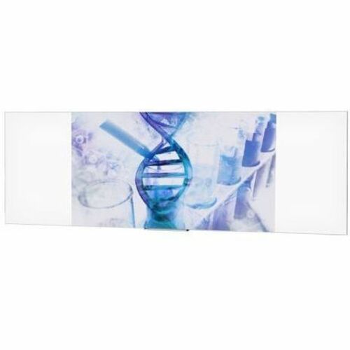 Da-Lite IDEA Panoramic 108" Projection Screen