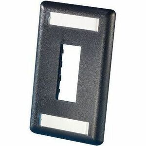 LEGRAND FPTJ2HOLESGPCBLK, Black, Two-Port (Single Gang)