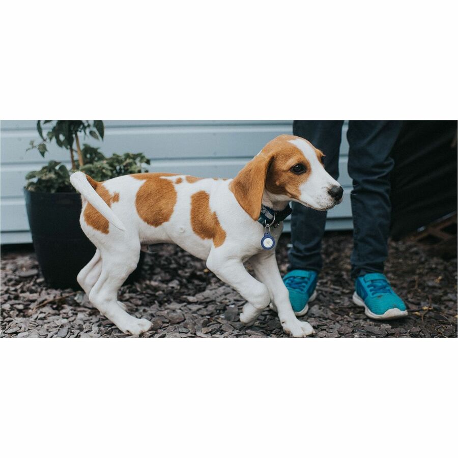 Belkin Secure Holder With Key Ring For AirTag 4-Pack