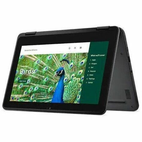 Dell Chromebook 3000 3120 11.6" Touchscreen Convertible 2 in 1 Chromebook - HD - Intel N100 - 8 GB - 64 GB Flash Memory - English (US) Keyboard - Gray