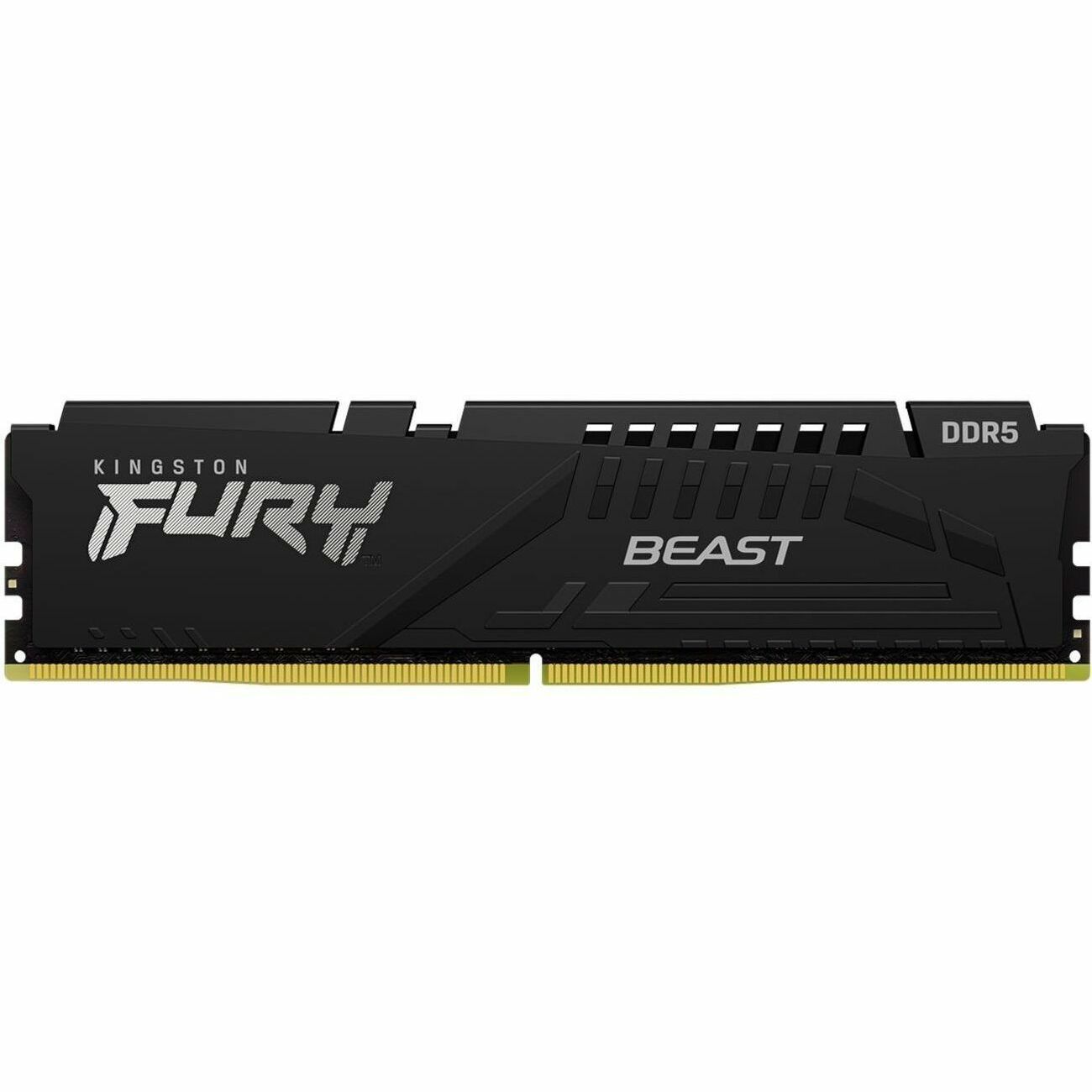 Kingston FURY Beast RAM Module