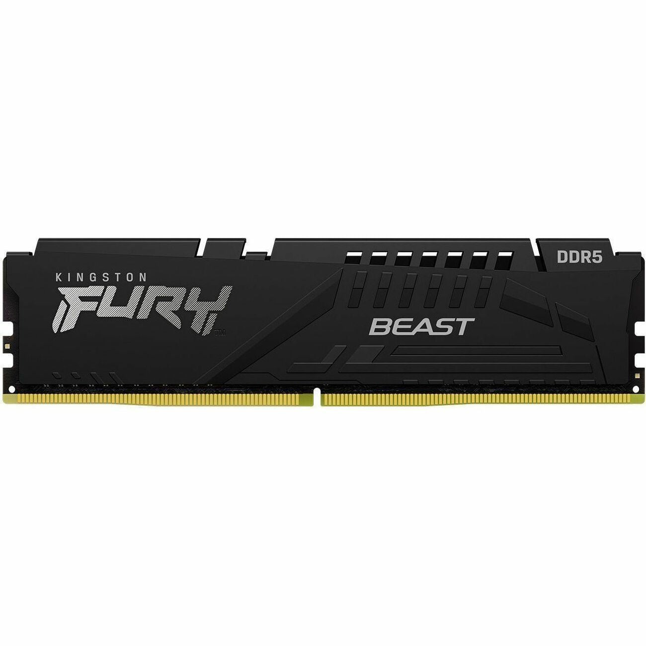 Kingston FURY Beast RAM Module