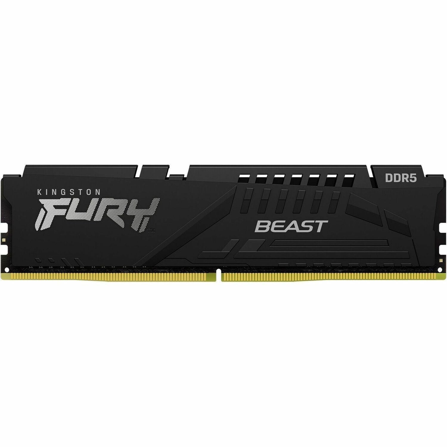 Kingston FURY Beast RAM Module